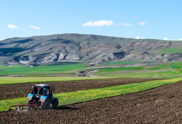 В Азербайджане изменились правила ведения Государственного земельного кадастра