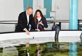 President Ilham Aliyev, First Lady Mehriban Aliyeva view conditions created at Sturgeon Breeding Farm owned by “Azerbaijan Fish Farm” LLC in Yenikand village, Neftchala (PHOTO/VIDEO)