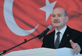 Газ с месторождения "Сакарья" важен для энергетической независимости Турции - министр