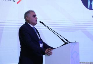 Development of human capital must be coordinated - Azerbaijan State Employment Agency
