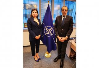 Обсуждено сотрудничество Азербайджана и НАТО