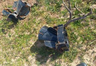 В Сумгайыте обнаружены боеприпасы (ФОТО)