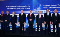 Президенты Азербайджана и Болгарии приняли участие в церемонии подписания Меморандума о взаимопонимании (ФОТО/ВИДЕО)