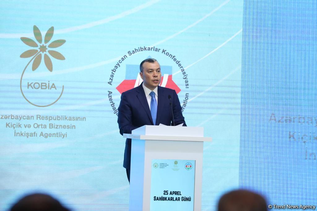 Azerbaijan works on digitalization of labor relations field - minister
