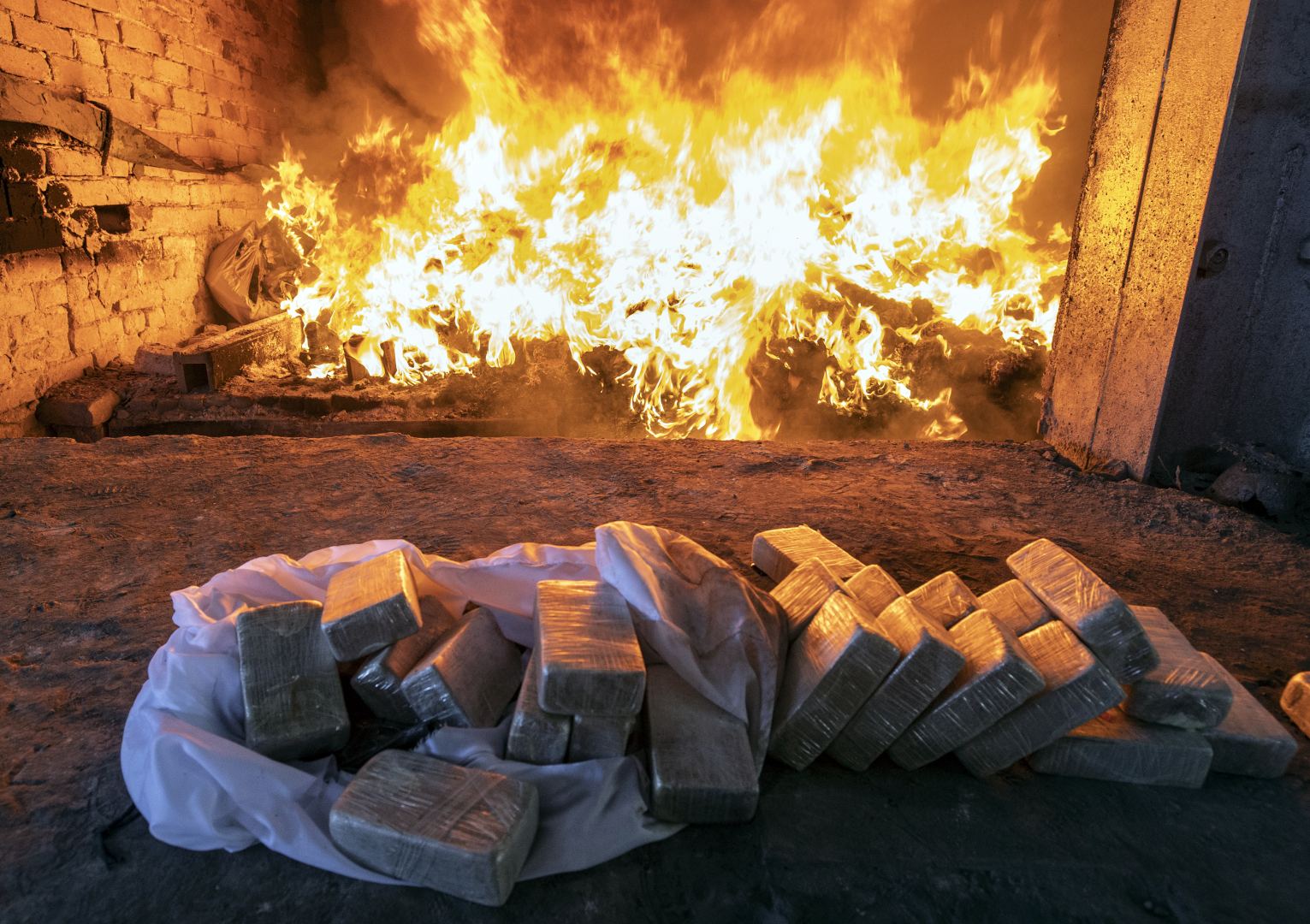 В Азербайджане уничтожено более 4 тонн изъятых из незаконного оборота наркотиков (ФОТО)