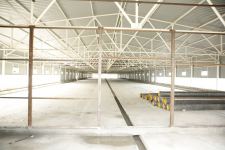 Xaçmaz rayonunda yeni quşçuluq fabriki tikilir (FOTO)