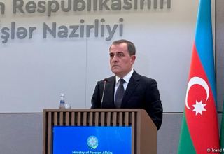 Azerbaijani FM discusses relevant issues with his French counterpart
