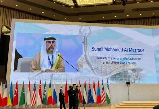 Central Asia one of richest renewable energy regions worldwide - UAE minister