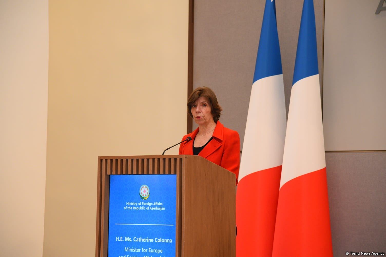 Франция приветствует предложенный Азербайджаном мирный договор - глава МИД