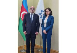 French Ambassador to Azerbaijan discusses de-mining of liberated territories with Chairman of ANAMA