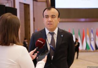 Co-op with Azerbaijani SOCAR to reach fundamentally new level - head of Uzbekneftegaz