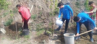 Azerbaijani eco-activists plant trees in temporarily suspended peaceful protest area on Lachin-Khankendi road (PHOTO)
