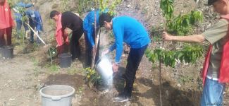 Azerbaijani eco-activists plant trees in temporarily suspended peaceful protest area on Lachin-Khankendi road (PHOTO)