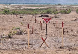 Azerbaijan clears over 5,000 ha of its lands from mines, unexploded ordnance in August