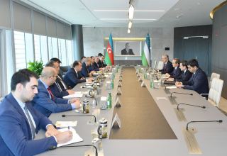 Azerbaijan, Uzbekistan discuss cooperation in automobile industry (PHOTO)