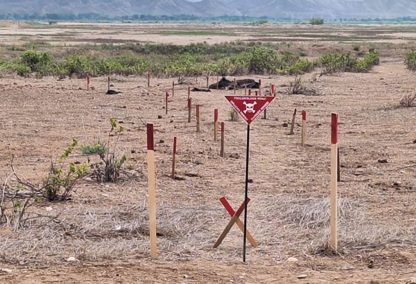 Azerbaijan's ANAMA finds over 40 mines left planted on lands liberated from Armenian occupation