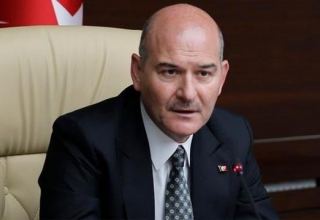 Безопасность на выборах в Турции обеспечена на высшем уровне – глава МВД