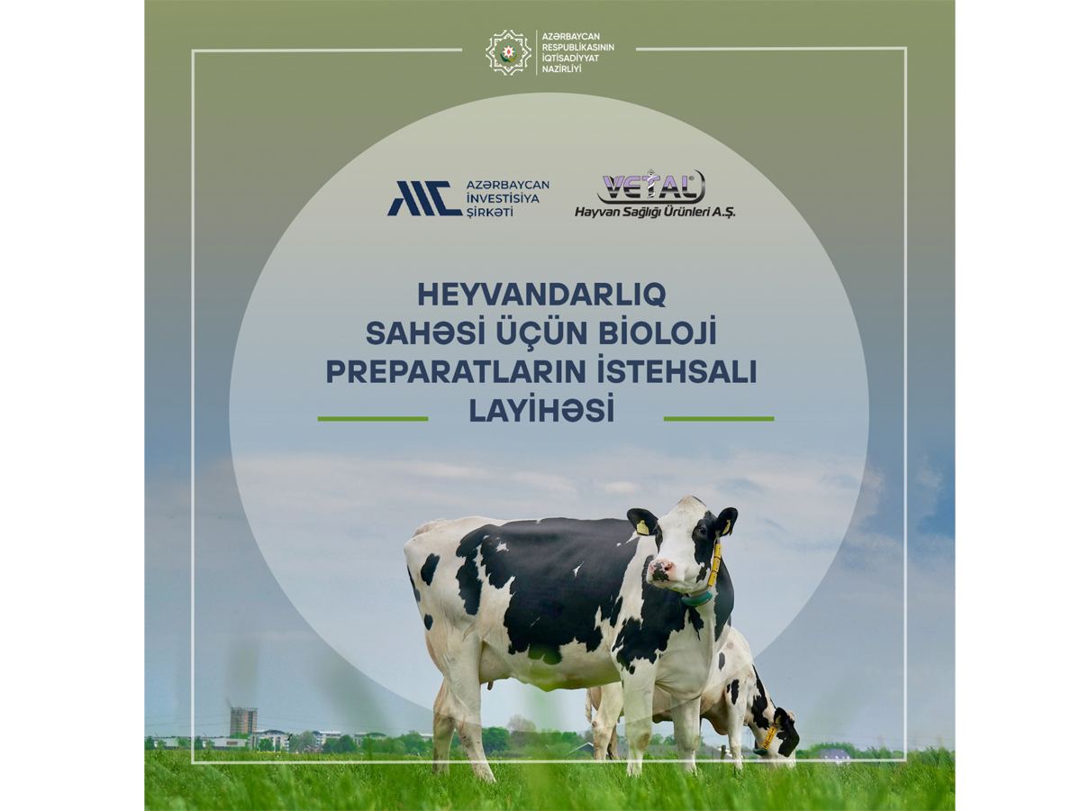 Азербайджан и Турция наладят сотрудничество по производству фармпрепаратов в сфере животноводства