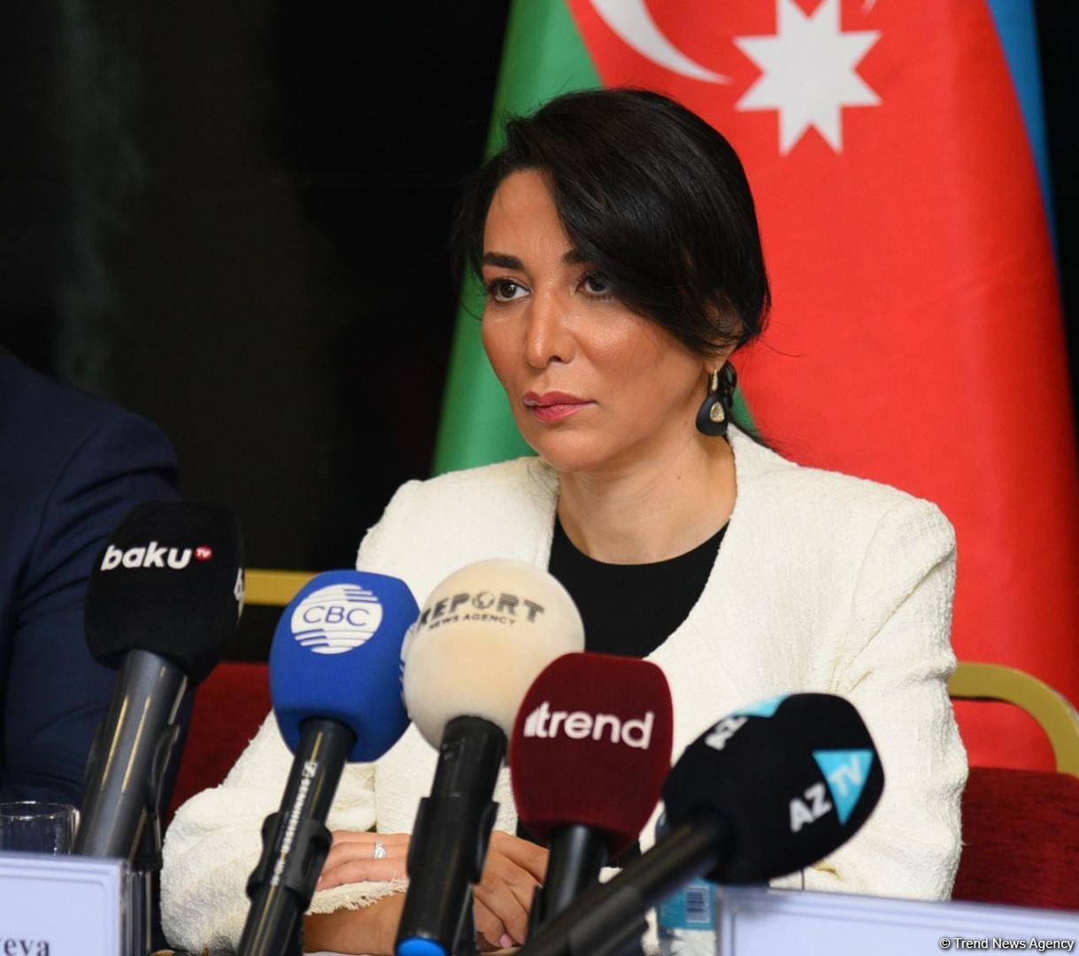 Омбудсмен с сотрудниками регулярно наблюдали за выборами в Азербайджане и приобрели опыт в этом направлении - Сабина Алиева