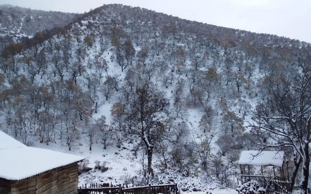 В ряде районов Азербайджана выпал снег - фактическая погода