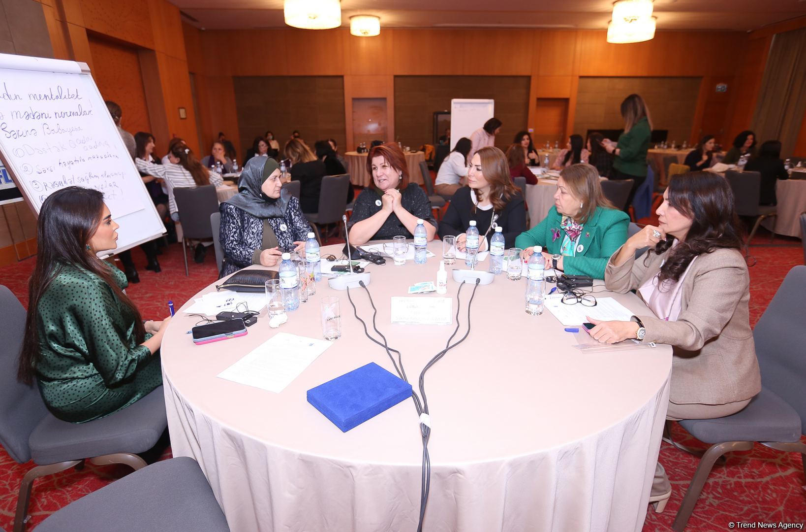 Сельские женщины могут развивать свой бизнес по-новому - Женская национальная бизнес-повестка (ФОТО)