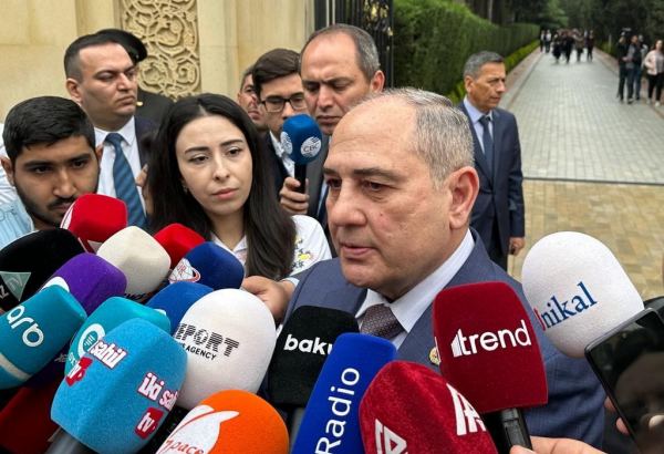 Партия "Ени Азербайджан" разрабатывает план действий в связи с внеочередными президентскими выборами