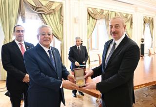 Azerbaijan - friendly country for Egypt, and this friendship has long history, President of Parliament says