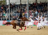 В Великобритании завершилось "Виндзорское королевское конное шоу" (ФОТО)