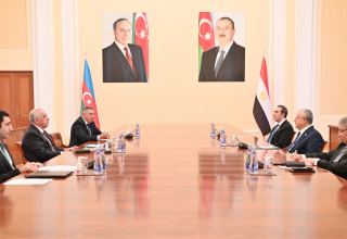 Azerbaijani Prime Minister meets with Chairman of House of Representatives of Egyptian Parliament
