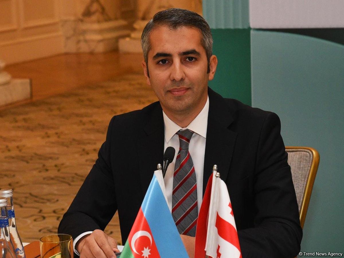 Azerbaijani PASHA Bank's stake in affiliates' shares cedes to PASHA Holding - board member
