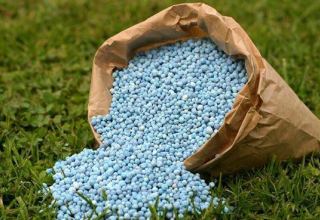 EuroChem to boost fertilizer production in Kazakhstan with new plant construction