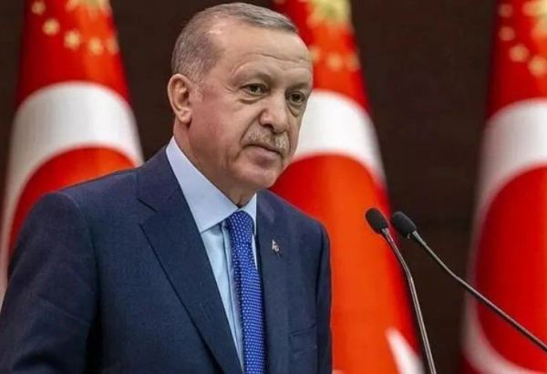 Эрдоган призвал граждан Турции за рубежом проголосовать во втором туре выборов