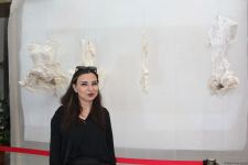 В Национальном музее искусств Азербайджана представлен уникальный проект "Сохранившаяся природа" (ФОТО)