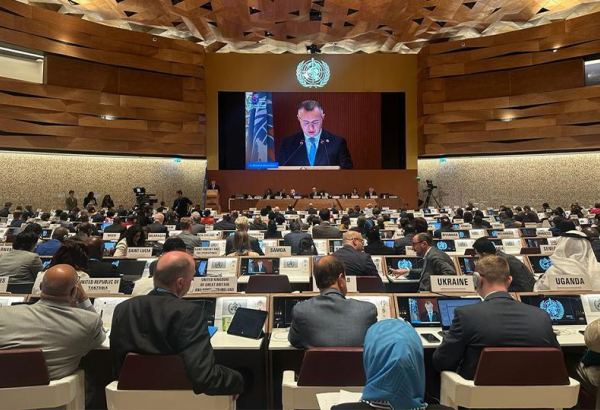 Azerbaijani Minister of Health makes statement on behalf of NAM at 76th session of WHO (PHOTO)
