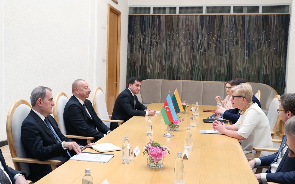 В Вильнюсе началась встреча Президента Ильхама Алиева с премьер-министром Литвы Ингридой Шимоните (ФОТО