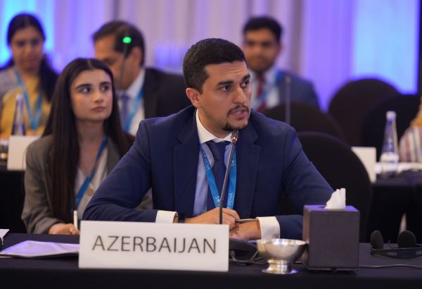Azerbaijani delegation takes part in meeting of IRENA Council (PHOTO)