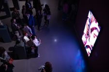 YARAT представляет экспозицию "Розовый – Чёрный" о сильной азербайджанской женщине (ФОТО)