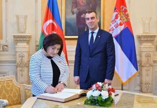 Сахиба Гафарова встретилась со спикером Национального собрания Сербии (ФОТО)