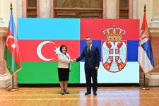 Azerbaijani Parliament Chair meets Chairman of Serbian National Assembly