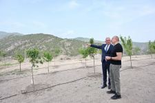 Президент Ильхам Алиев открыл городскую подстанцию «Лачин» (ФОТО/ВИДЕО)