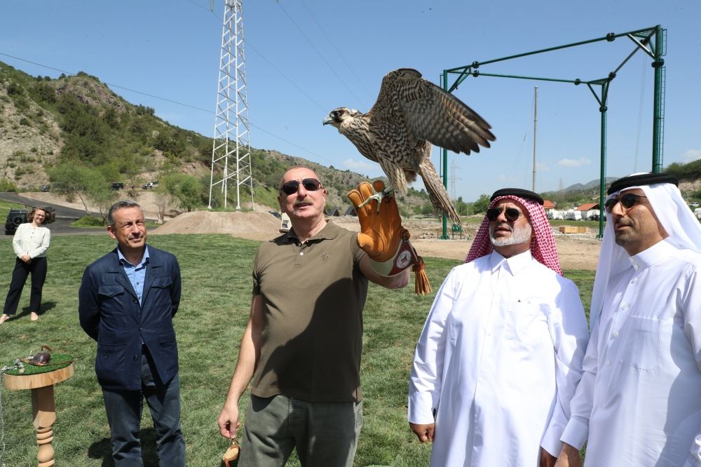 Президент Ильхам Алиев принял участие в церемонии выпуска в природу на территории Лачинского района восточно-кавказских туров и соколов, а также - выпуска в реку Хакари рыб (ФОТО/ВИДЕО)