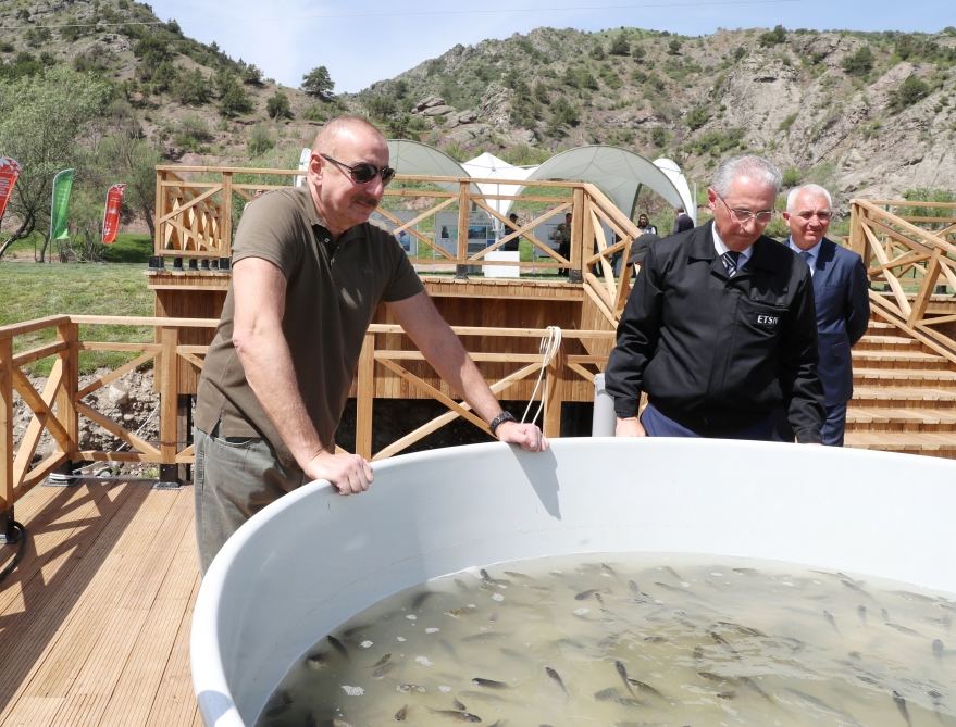 President Ilham Aliyev attends ceremonies of releasing East Caucasian turs and falcons into wild, fish into Khakari River in Lachin district (PHOTO/VIDEO)