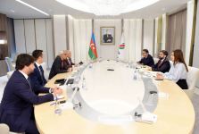 SOCAR and Boston Consulting Group discuss use of digital technologies in enterprises (PHOTO)