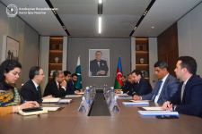 МИД Азербайджана и Пакистана провели политконсультации (ФОТО)