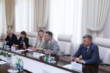 В Министерстве здравоохранения Азербайджана состоялась встреча с генеральным директором Государственного фонда медицинского страхования Литвы (ФОТО)