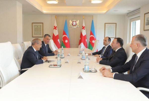 Azerbaijani minister, Georgian PM discuss expansion of interstate economic ties (PHOTO)