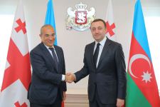 Azerbaijani minister, Georgian PM discuss expansion of interstate economic ties (PHOTO)