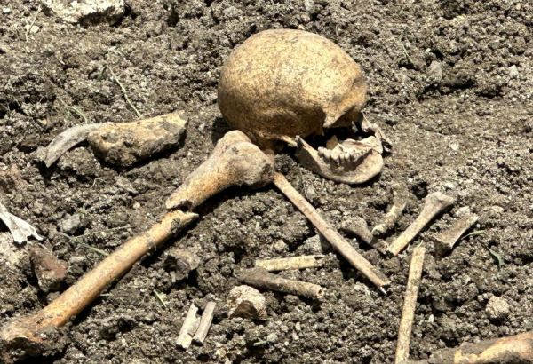Azerbaijan uncovers fragments of supposedly human bones in Sugovushan settlement