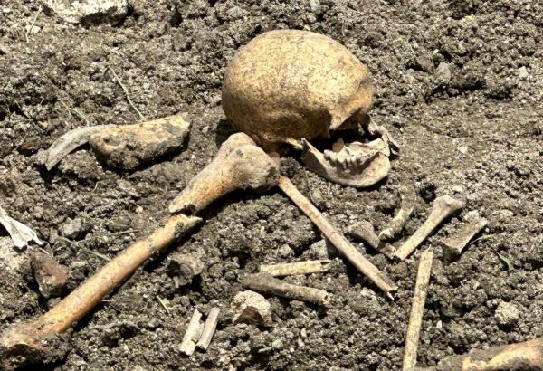 Mass grave discovered in Azerbaijan's Shusha (PHOTO)