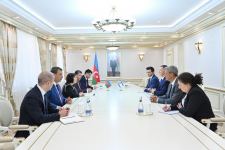 Милли Меджлис Азербайджана готов к дальнейшему расширению сотрудничества с Кнессетом - Сахиба Гафарова